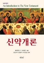 신약개론(레이몬드 브라운)