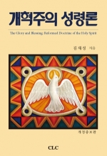 개혁주의 성령론:개정증보판 (The Glory and Blessing: Reformed Doctrine of the Holy Spirit)