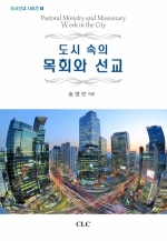 도시 속의 목회와 선교 (신학박사 논문 시리즈 31)