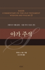 아가 주석